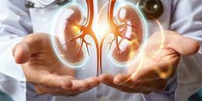  YAZ AYLARINDA BÖBREK HASTALARI İÇİN EN BÜYÜK TEHDİT: HATALI BESLENME VE FAZLA SIVI TÜKETİMİ!