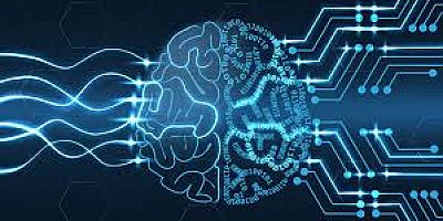 ZEKA YAPAY AMA CİRO GERÇEK!!!