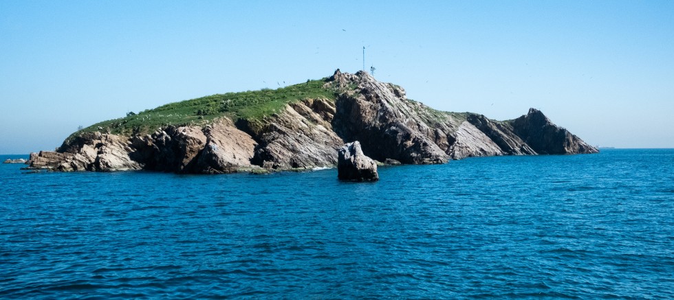 TAVŞAN ADASI, MARMARA’NIN KORUNMASI GEREKEN YAŞAM KAYNAĞIDIR: “AV DEĞİL, YAŞAM ALANI”