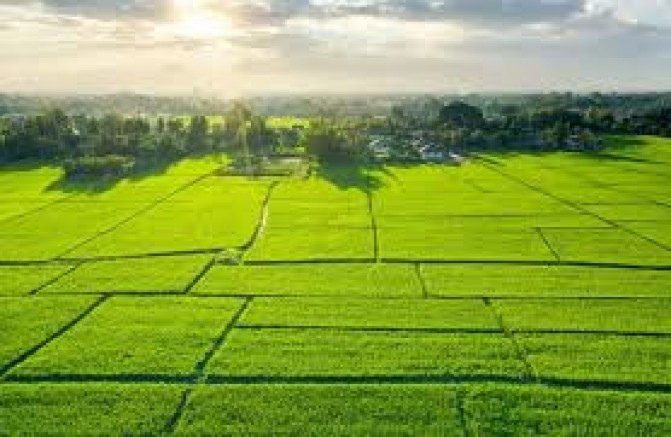 ÜÇ TEMEL UNSUR VAR